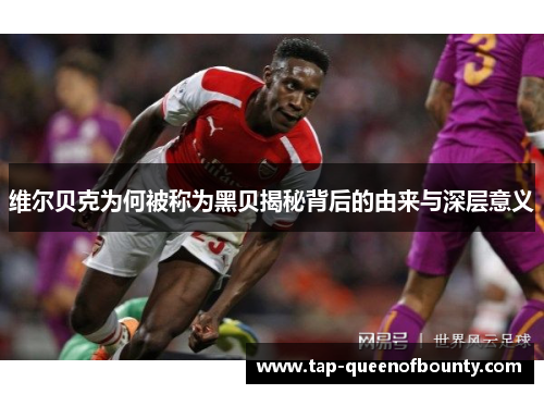 维尔贝克为何被称为黑贝揭秘背后的由来与深层意义