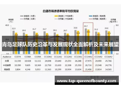 青岛足球队历史沿革与发展现状全面解析及未来展望