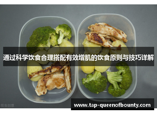 通过科学饮食合理搭配有效增肌的饮食原则与技巧详解